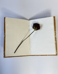 Handmade Cotton Fabric Cover Diary – Eco-Friendly Handmade Paper Notebook Journal for Writing & Gifting - FaagHomes